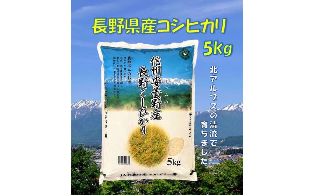 
            米 コシヒカリ 長野県産 5kg
          