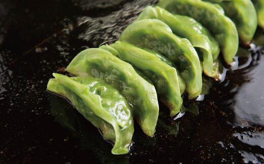 R5-1024．家(うち)に来る“高知” ジューシーな具をぎっしり詰めた手づくり!!　四万十ひすい餃子（8ケ入×4パック）・たれ付き　にんにく不使用！