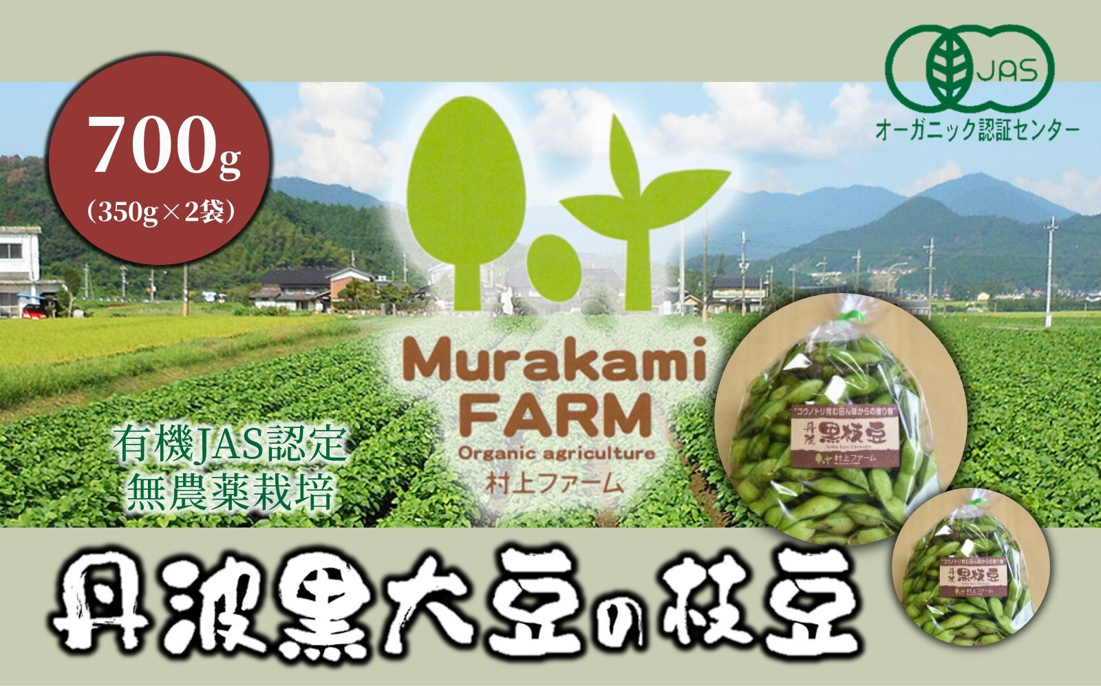 
先行予約 朝どれ！新鮮！村上さん自慢の丹波黒大豆の枝豆 350g×2袋『さやの状態でお届け』【10月中旬以降発送】【44632】年内配送 年内発送 丹波 黒大豆 枝豆 有機JAS 無農薬 安心 安全 オーガニックエコフェスタ最優秀賞 大粒 艶やか コク 旨味 ビールのあて 村上ファーム
