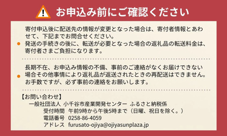 国産丸大豆しょうゆ 500ml×6本セット 山崎醸造