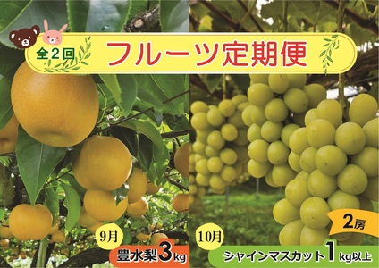 【定期便：全２回】アルコアーナ農園のフルーツ定期便Ａコース（和梨、シャインマスカット）　0148-2604
