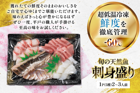 刺身 盛り合わせ 旬の天然魚の刺身盛り 5種 2～3人前 3回 定期便 総計6～9人前 セット 食べ比べ 詰め合わせ [囲炉裏料理エビス亭 長崎県 平戸市 hr42bgy390045]
