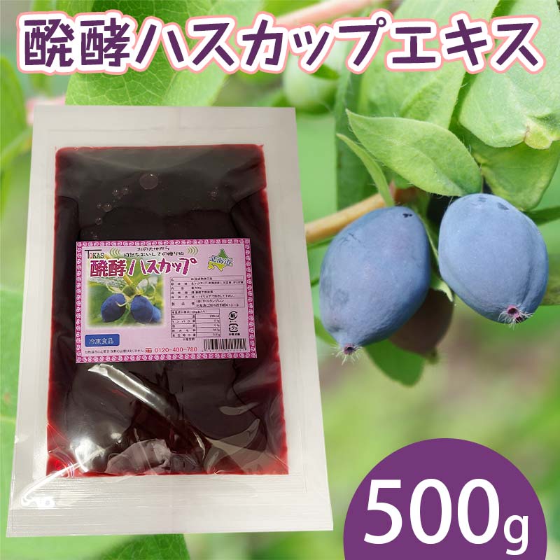 【ふるさと納税】醗酵ハスカップエキス 500g EB8-0377