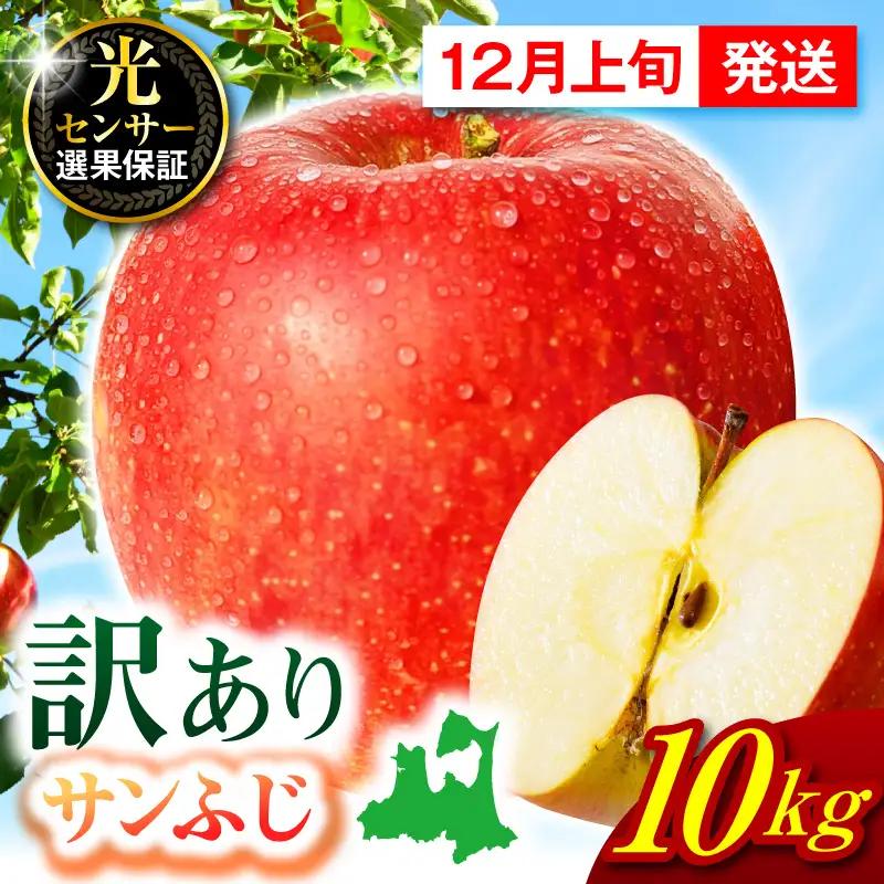 【2026年12月上旬発送】【訳あり】 りんご 約10kg サンふじ 青森 家庭用 りんご