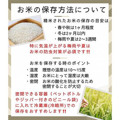 ふるさと納税 亀岡市 【令和7年産】京都丹波米 こしひかり 5kg |  | 03