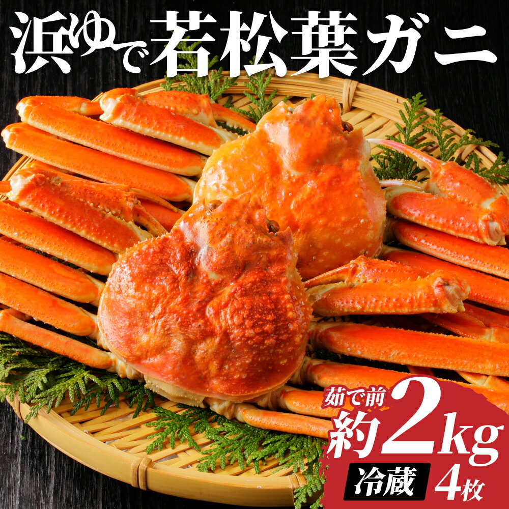 【ふるさと納税】岩美町特産 若松葉ガニ姿茹で 4枚セット ｜鳥取県 岩美町 蟹 かに カニ 松葉がに 松葉ガニ 冷蔵 送料無料【22044】