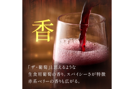 スパークリングワイン／京都・京丹後産サペラヴィスパークリング 丹波ワイン　500ml　　赤ワイン・泡・国産ワイン・京都ワイン