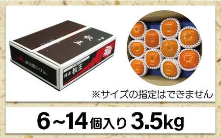 ブランド柿 「 秋王 」約3.5kg 6個～14個入り【2026年10月下旬～11月下旬発送予定】
