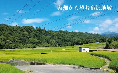 村茶季園　甲斐亀沢（紅茶）ティーバッグ　20袋入　CS-6　農薬不使用　化学肥料不使用