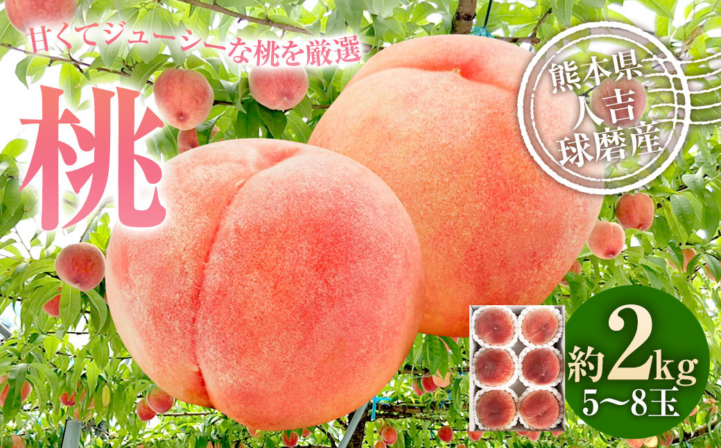 
                  桃 約2kg（5～8玉）【2026年6月下旬～8月上旬発送予定】 もも モモ 果物 果実 フルーツ 厳選 熊本県 相良村 冷蔵
                