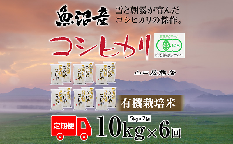 定期便 全6回 有機栽培米 魚沼産コシヒカリ 5kg×2袋