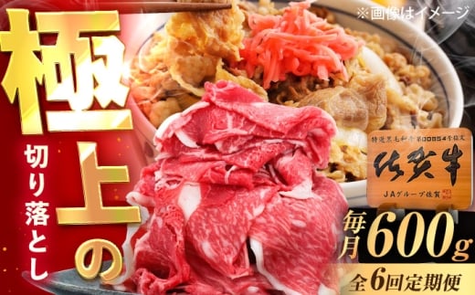 【6回定期便】佐賀牛 切り落とし 600g /MKミート武雄 [UEM032]