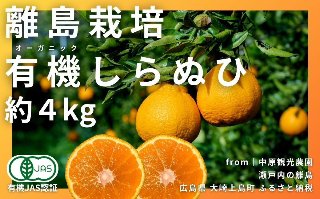 大崎上島産 有機JAS認証！オーガニックしらぬひ 約4kg