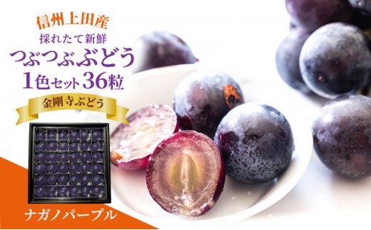 
                  厳選！ナガノパープル jewelry box 信州上田産金剛寺ぶどう 1色 セット 36粒 詰め合わせ ぶどう 葡萄 ブドウ 長野パープル 果物 くだもの フルーツ 旬の果物 旬のフルーツ 長野県 長野
                