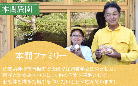 本間農園の平飼い親鳥肉使用！ソーセージ2種食べ比べセットB（ウィンナー30本、フランクフルト12本） / ウィンナー フランクフルト ソーセージ / 佐賀県 / 本間農園[41AJAA016]