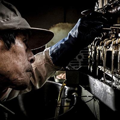 ふるさと納税 長崎市 椿油配合　ながさき育ちシャンプー　2本セット |  | 02