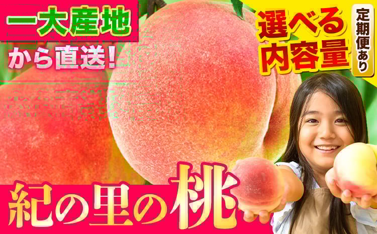 
            人気No.1 約2kg:13,000円 ～とろっと 和歌山よりとろける甘さをお届け～ 選べる発送時期・容量 紀の里の 桃《6月中旬-8月中旬頃出荷》 桃 6月 桃 7月お届け もも 6月 もも 7月 白鳳 日川白鳳 八旗白鳳 清水白桃 川中島白桃 和歌山 桃 フルーツ 果物
          