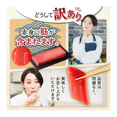 ふるさと納税 三浦市 【訳あり】これを選べば間違いなし!とにかくたくさん食べたい人に!三崎の天然鮪3kg |  | 03