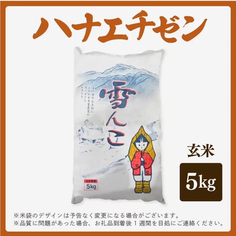 【先行予約】【令和8年産・新米】ハナエチゼン 5kg【玄米】【2026年10月中旬以降順次】 華越前 人気品種  福井県ブランド  [e26-a014_02]