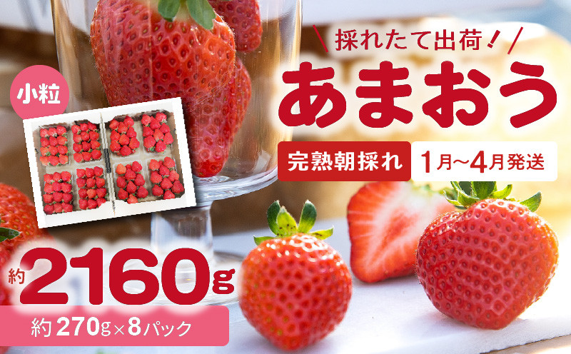 
            【完熟朝採れ】福岡県産ブランドいちご あまおう(小粒、約270g×8パック) R00302
          