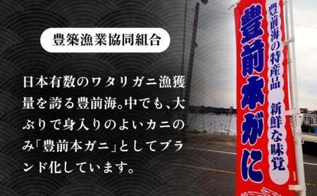 【先行予約】 豊前本ガニ 大 メス 3匹 直送 【2026年12月以降順次発送】《豊前市》【豊築漁業協同組合】 かに 蟹 カニ ワタリガニ かに料理 ガザミ [VAG011]