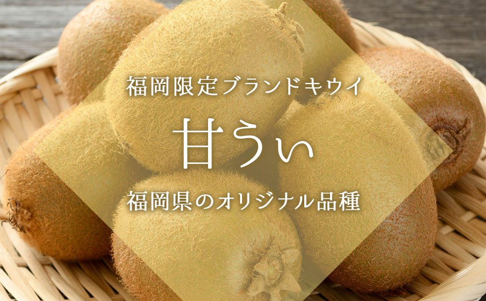 【先行予約】福岡限定!ブランドキウイ「甘うぃ(あまうぃ)」約3kg箱(24-30玉)(篠栗町)【NF006】