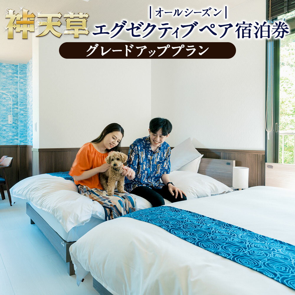【ふるさと納税】【オールシーズン】エグゼクティブ ペア宿泊券 グレードアッププラン お部屋食 黒毛和牛ペット食 ネコ専用 猫 食事付き コース料理 ホテル 旅行 チケット ビーチ 砂浜 熊本県 上天草市 送料無料