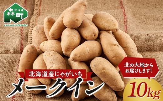 
            北海道産じゃがいも メークイン 10kg【2025年新じゃが】＜株式会社　鳥潟＞ 北海道 じゃがいも 野菜 いも イモ 芋 ポテト 料理 10kg メークイン mr1-1219
          