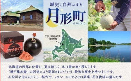 北海道 定期便 6ヵ月連続6回 令和5年産 ななつぼし 無洗米 5kg×1袋 特A 米 白米 ご飯 お米 ごはん 国産 ブランド米 時短 便利 常温 お取り寄せ 産地直送 送料無料 