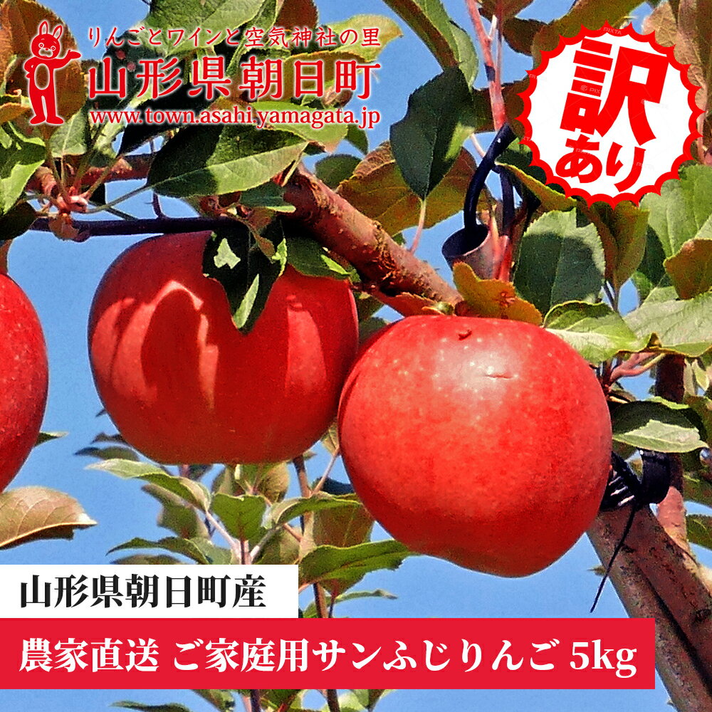 【ふるさと納税】＜ 先行予約 ＞ りんご ご家庭用 訳あり 「 サンふじ 」 5kg 山形県 朝日町産 農家直送 山形県産 特産 果物 フルーツ リンゴ 林檎 秋 送料無料