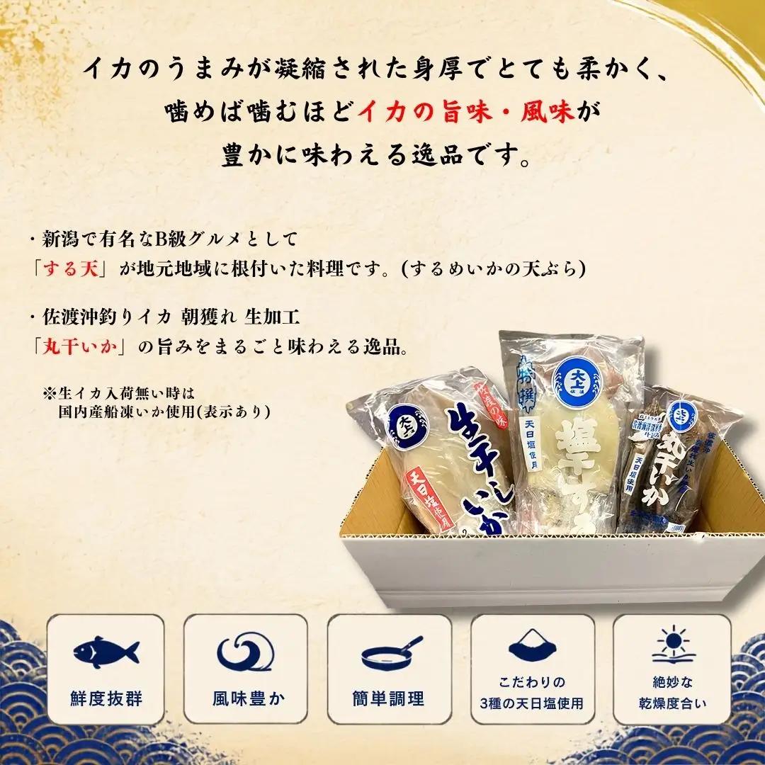 干物 イカ 佐渡沖産 3種 イカづくしセット1
