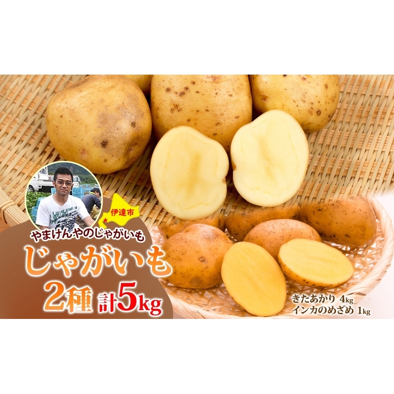 やまけんや じゃがいも 2種 計5kg きたあかり インカのめざめ ジャガイモ いも イモ 芋 ほくほく ホクホク 甘い アレンジ 国産 産地直送 馬鈴薯 野菜 やさい 北あかり 送料無料 北海道 伊