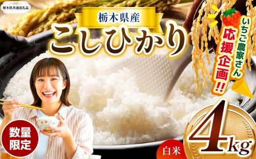 【栃木県共通返礼品】訳あり数量 限定 定期便 令和7年度 栃木県産コシヒカリ 約 4kg | 数量限定 こしひかり  精米 白米 米 ごはん おいしい  密閉パック ふるさと納税 那珂川町 栃木県