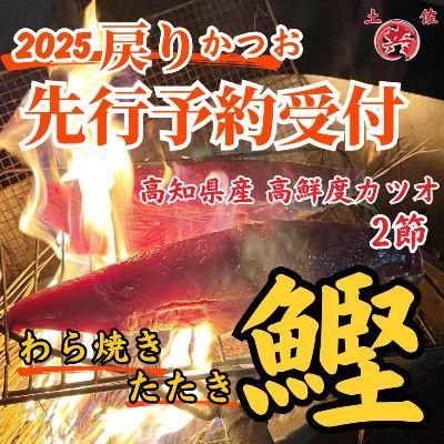 ふるさと納税 東洋町 先行予約受付!2025戻りかつお　わら焼きたたき　2節