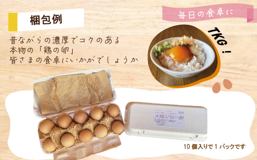【定期便6回】濃厚でコクのある味わい！のびのび育った土佐ジローの自然卵20個（10個入り×2パック）卵 玉子 たまご 鶏卵 土佐ジロー 自然卵 新鮮 旨味 濃厚 コク 自慢 こだわり卵 高知 高知県 
