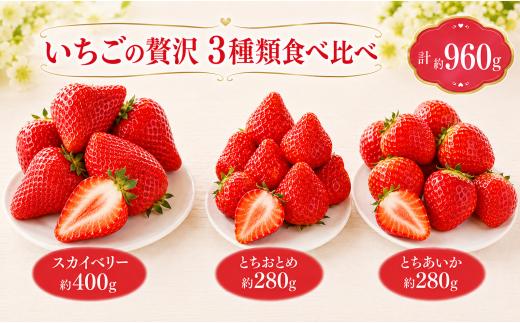 【先行予約】いちご いちごの贅沢 3種類食べ比べ｜いちご 苺 ichigo 女峰 ミルキーベリー とちひめ とちあいか とちおとめ やよいひめ 粒 栃木県 那珂川町 送料無料【栃木県共通返礼品】