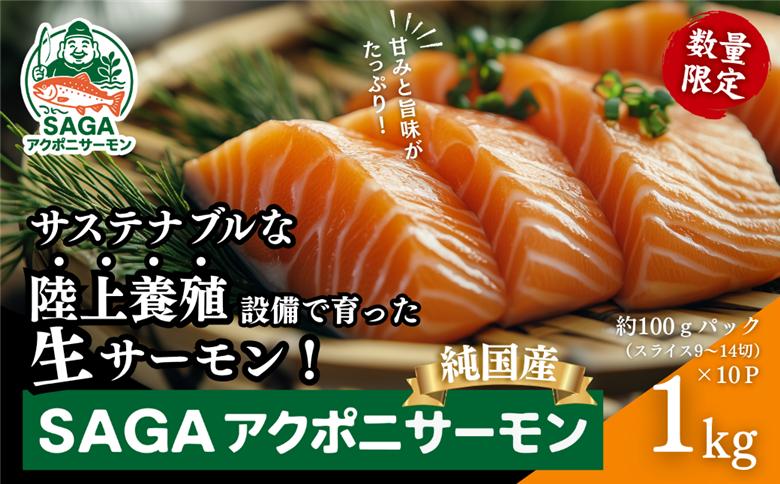 佐賀から未来へ！SAGAアクポニサーモン 1kg 100g×10P カット済 刺身 サーモン トラウトサーモン 国産 生食 陸上養殖 高品質 佐賀市産 海鮮 魚介 魚 冷凍 小分け 解凍するだけ 海鮮丼 カルパッチョ 寿司 鮭 佐賀県 佐賀市 ：B400-007