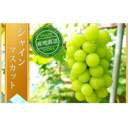 ＼先行予約／【数量限定】岩手県産 ぶどう シャインマスカット 約1kg (AR032) 9月下旬発送開始 紫波町産 贈答品 ギフト フルーツ 葡萄 ブドウ 2房 高品質 完熟 甘い 新鮮 産地直送 (