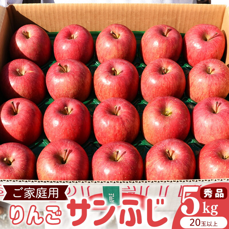 【ふるさと納税】令和8年産 《ご家庭用》りんご サンふじ 秀品 5kg（20玉以上）2026年産 山形県産【2026年12月上旬頃から下旬頃発送予定】 お取り寄せ ご当地 特産 産地直送 果物 フルーツ 林檎 リンゴ 大人数 果物 東北 2026年 山形産 5キロ