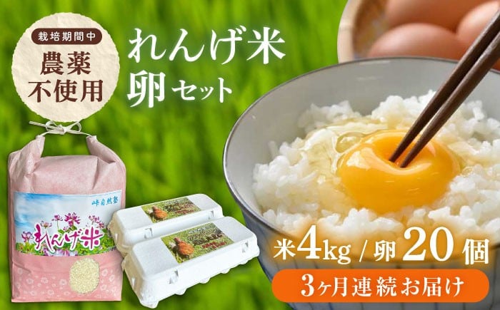 
            【全12回定期便】【令和7年度米】4kg・放し飼いたまご20個セット ヒノヒカリれんげ米 元気たまご【浅田峠自然塾】 [EA22]
          