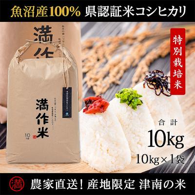 ふるさと納税 津南町 県認証米魚沼産コシヒカリ 10kg 産地限定!農家直送 | 