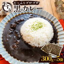 牛すじ黒カレー 冷凍 パック 5袋 レトルト 小分け 長崎市/黒丸カレー