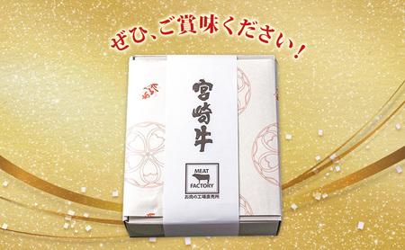 ハンバーグ A5ランク 宮崎牛 180g 4個 セット 国産 冷凍ハンバーグ 工場直売 惣菜
