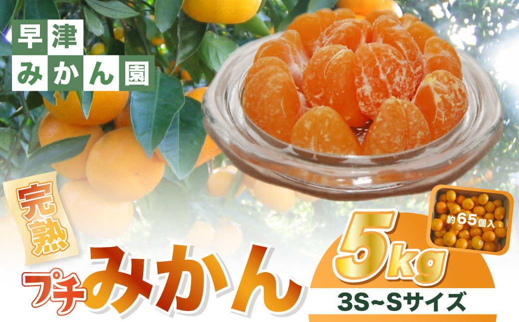 
            L-102　早津みかん園の完熟プチみかん 5kg　みかん ミカン 蜜柑 温州みかん 完熟みかん 甘熟 柑橘 有機栽培 国産 佐賀県産 太良町 こだわり 贈答品 産地直送 詰め合わせ 極甘 小玉
          