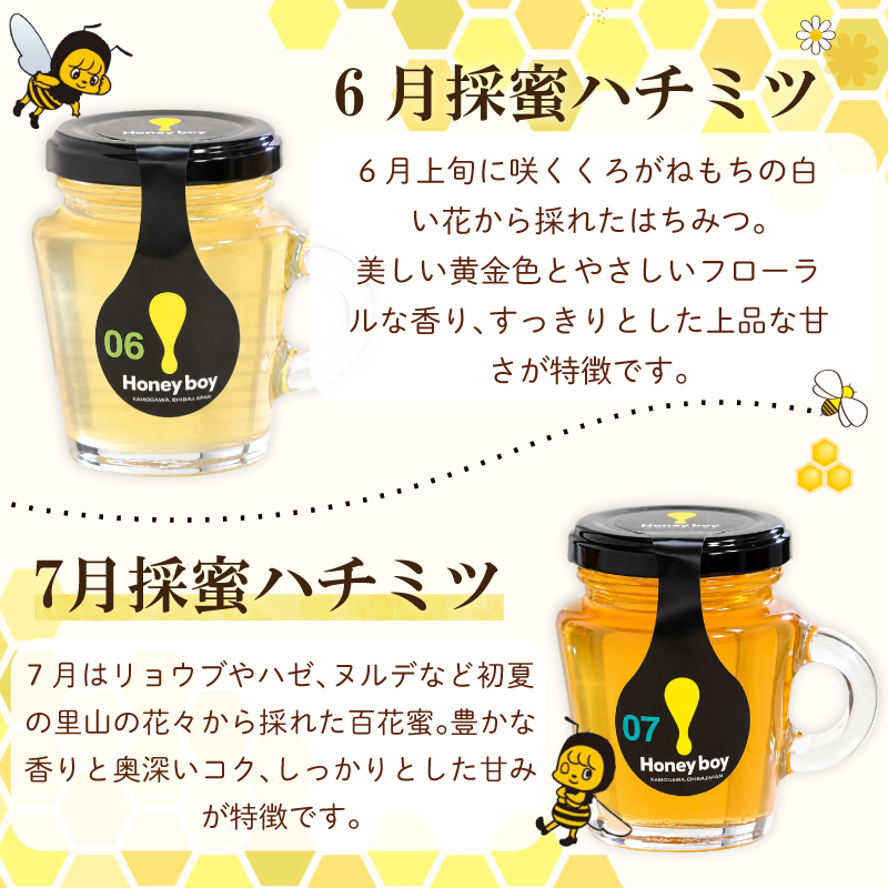 【国産】 Honeyboyシリーズ 2個   ふじのくに 新商品 コレクション 最高 金賞 受賞 ハチミツ 蜂蜜  国産 百花蜜 ギフト 贈答品 高糖度 保存食 母の日 安心 安全 非加熱 蜜 天然 