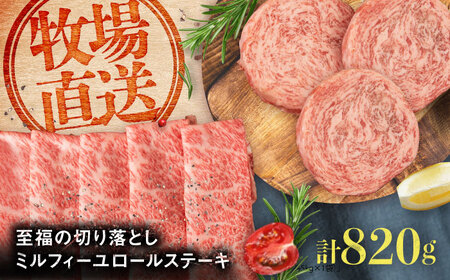 ミルフィーユロールステーキ4個と至福の切り落し500g  / 佐賀牛 [41ASAA104]