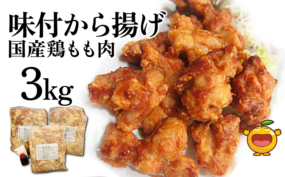 国産鶏もも 肉味付唐揚げ 1kg×3袋(合計3kg） からあげ屋 鳥いちのから揚げ 弁当 おかず お惣菜 大分県産 九州産 津久見市 国産【tsu000902】