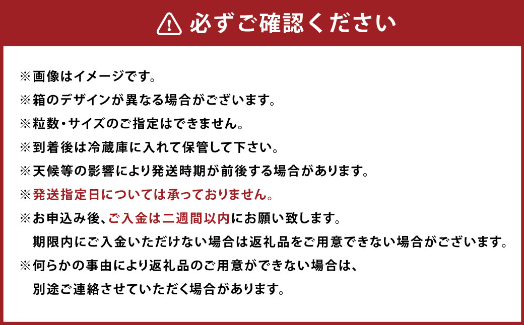 A161 【ギフト】 あまおう 24～30粒 いちご 【2024年11月下旬～2025年3月下旬発送予定】_イメージ5