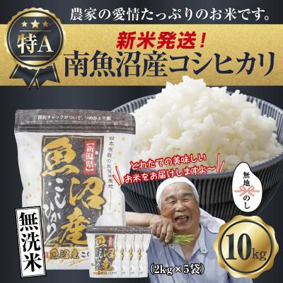 ふるさと納税 南魚沼市 【無地のし】無洗米 令和7年産 南魚沼産 コシヒカリ10kg (お米の炊き方ガイド付き)