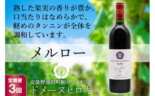 
【3回 定期便 】【熟した果実の香り】 赤 ワイン メルロー 750ml×1本 [ヴィニョブル安曇野 DOMAINE HIROKI 長野県 池田町 48110155] 赤ワイン お酒 酒
